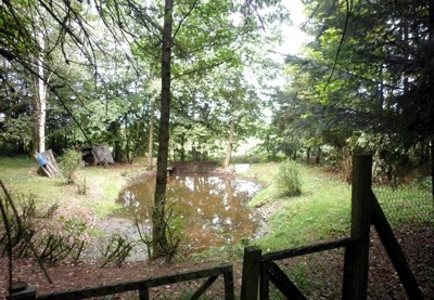 Angebot: Eifel-Immobilie | kleiner Bachlauf mit Teich